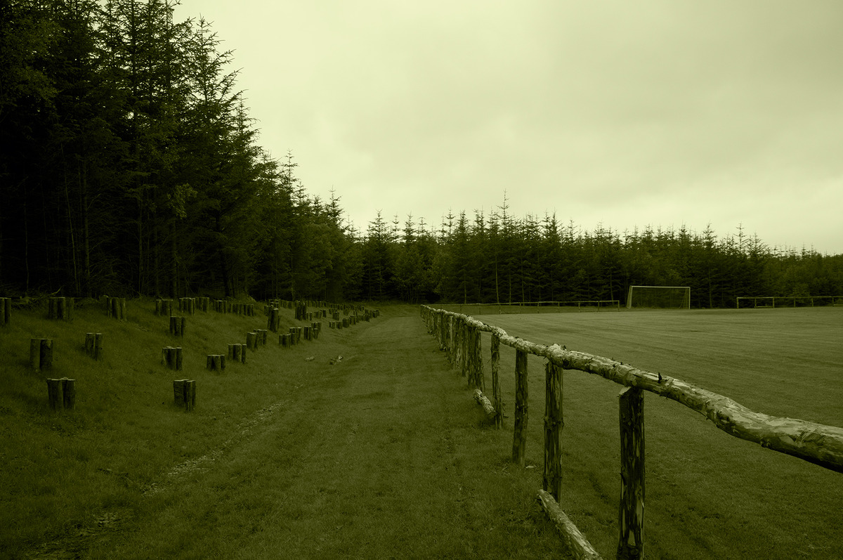 Forest Pitch photo